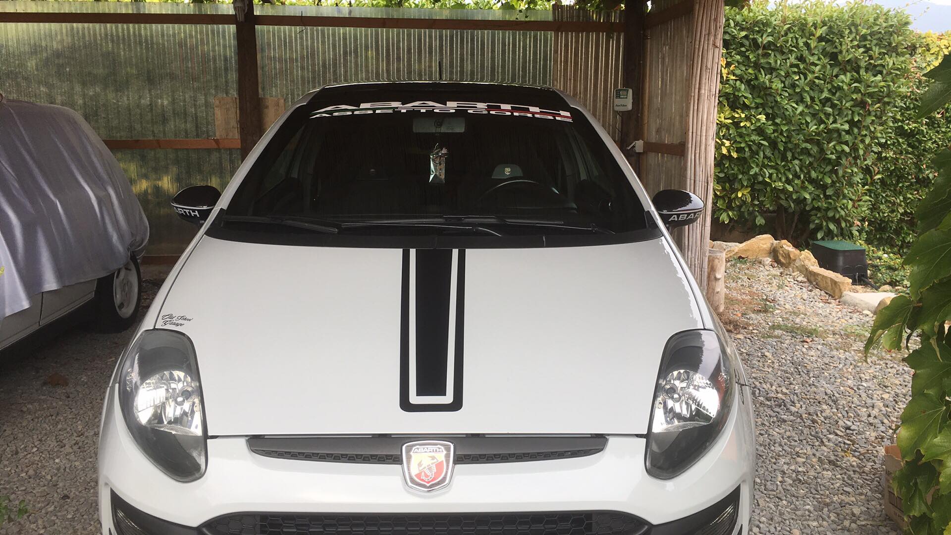 72156701_546096616147767_8415422198088466432_n