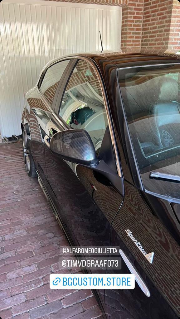 alfa romeo snake logo on car